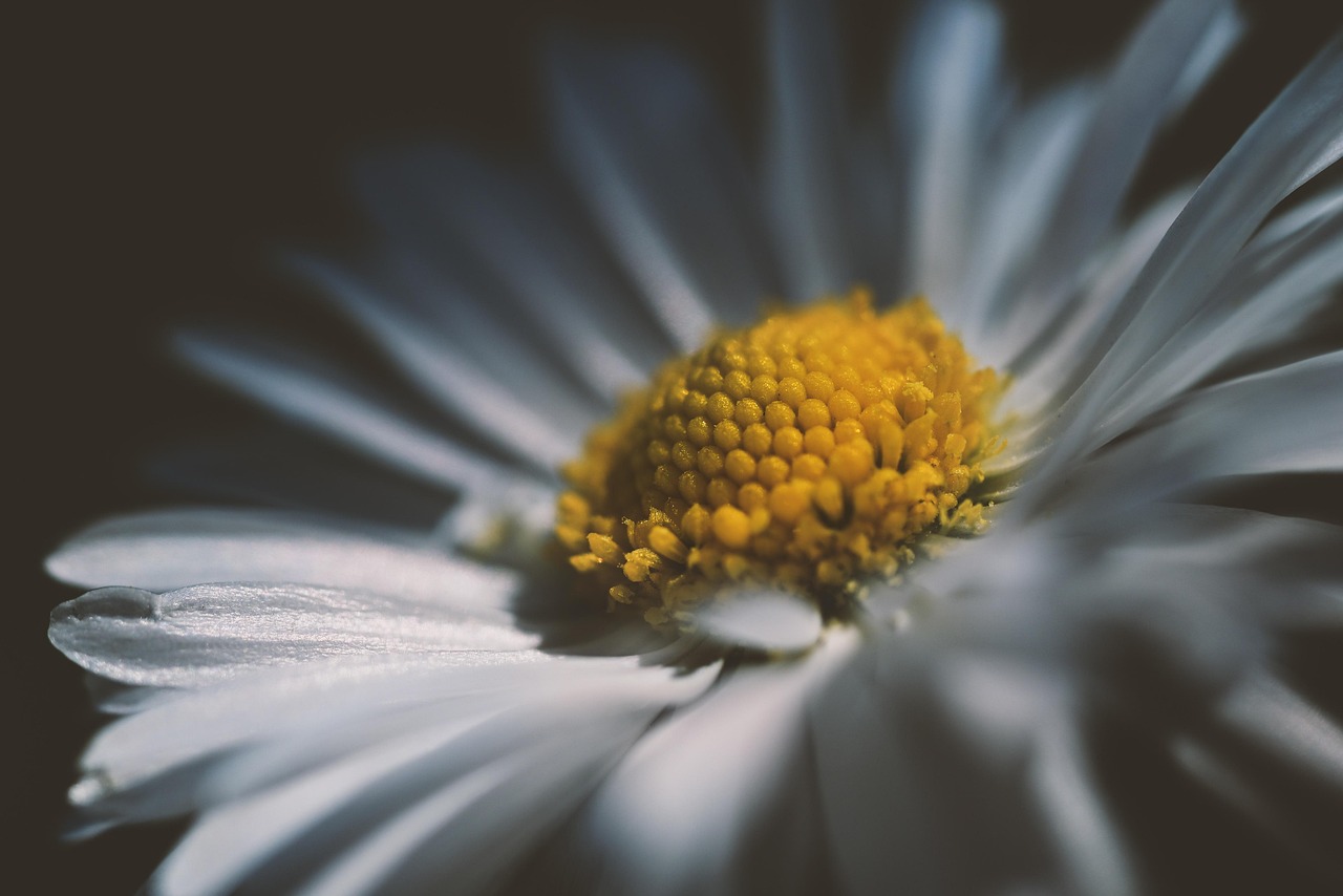 Sindikati traže hitan dijalog sa Vladom zbog rasta troškova života